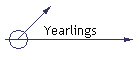 Yearlings